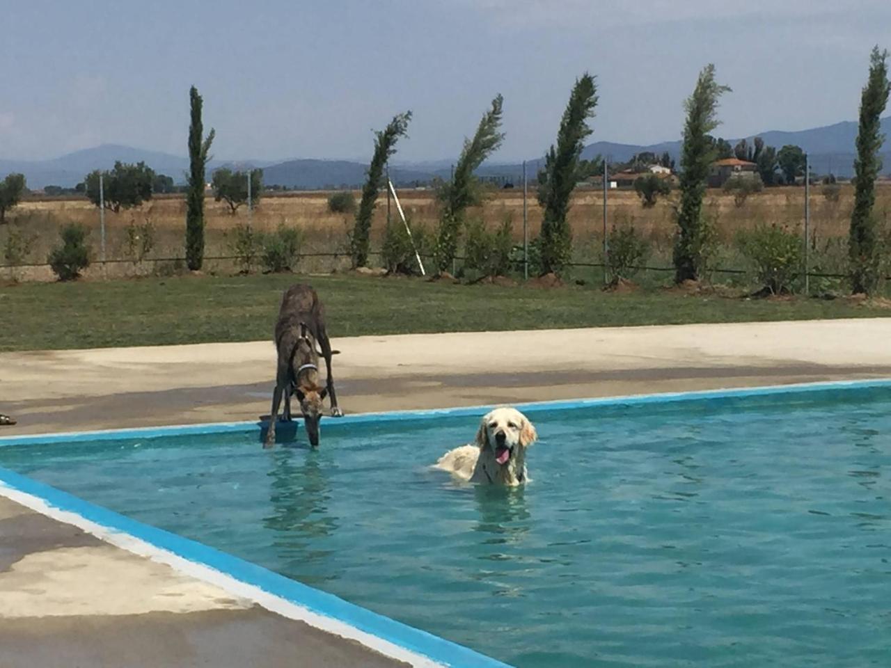 Fattoria Maremmana Aparthotel Marina di Grosseto Bagian luar foto